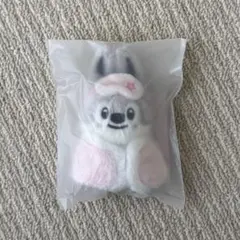 スキズ 韓国 ペンミ SKZOO ぬいぐるみ 10cm バンチャン　ウルフチャン