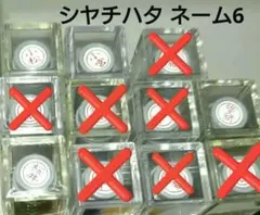 【1本の価格です】シャチハタ ネーム6 既製品