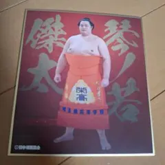 Seto様 リクエスト 3点 まとめ商品