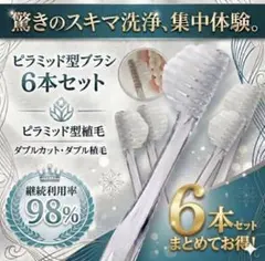 奇跡必然の歯ブラシ 【6本まとめ売り】 ピラミッド型 歯ブラシ 驚きの汚れ落ちのサムネイル