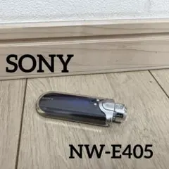 必ず説明最後まで読んで下さい】 SONY ウォークマン NW-E608 2GB