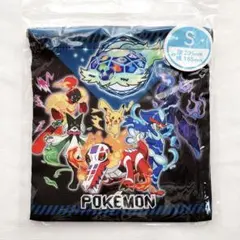 ポケモン　ピカチュウ　巾着S 小　小物入れ　コップ袋　レックウザ　学用品