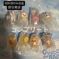 straykids スキズ　SKZOO ガシャポン　めじるし　コンプ