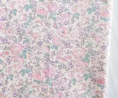 Item thumbnail for item 678540dc-49e7-4125-b92f-de318fad7aeb