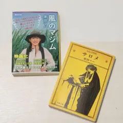 ■夢魔■真弓倫子, 田口トモロ, 内田春菊■ 夢魔 (94) 真弓倫子、田口トモロヲ、内田春菊、大西結花 - メルカリ