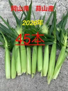 ラスト！先着順！今が旬！45本！早い者勝ち！蒜山産⭐︎こだわりのヤングコーンのサムネイル