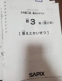 2026年最新】sapix 新3年 入室テストの人気アイテム - メルカリ