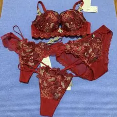 【入手困難】サルート 限定発売コレクション 29G ブラジャー ソング E65のサムネイル