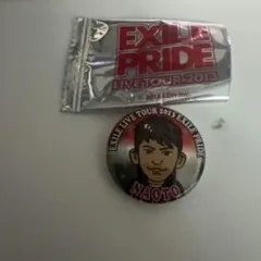 EXILE PRIDE LIVE TOUR 2013 NAOTO缶バッジ