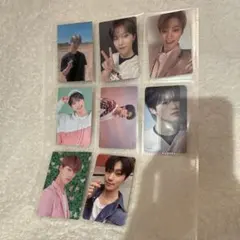 ディノ　トレカセット