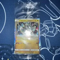 2026年最新】ジガルデ プロモの人気アイテム - メルカリ