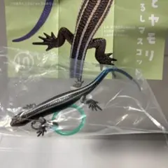 ネイチャーテクニカラー トカゲとヤモリめじるしマスコットニホントカゲ(幼体)