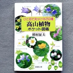 シーシーレモン様 リクエスト 2点 まとめ商品
