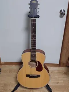 2025年最新】ARIA アコースティックギターの人気アイテム - メルカリ