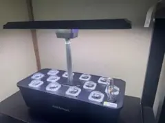 JustSmart 水耕栽培キット 室内 水耕栽培のサムネイル