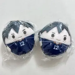 ハイキュー　ふわコロりん　山口忠