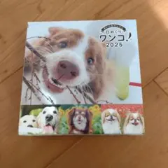 Item thumbnail for item 6233fe9c-2ff9-4122-a7af-62acb18039d1