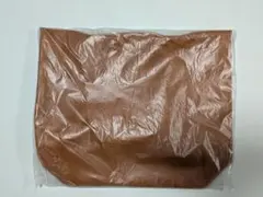 Item thumbnail for item 0d8b7011-d170-4499-aa37-127ffac2f6c7