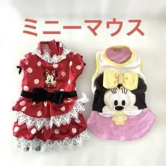 ペットパラダイス ミニーマウス犬服2点セット DSS