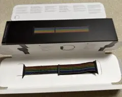 Apple Watch Nikeスポーツループ プライドエディション 45mm