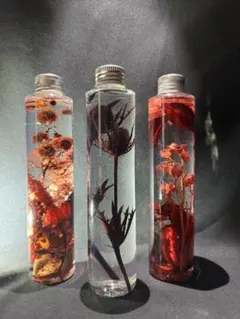 【中古】ハーバリウムボトル（３点セット）