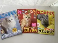 ねこのきもち 雑誌 3冊セット