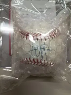 Item thumbnail for item 84821b47-ea85-4d1e-a0b6-ce1e4e6489f6