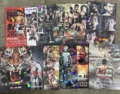 RIZIN　ポテトスティックポスターカードコレクション