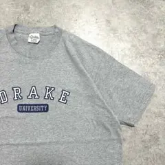 90s USA製 Cotton Exchange カレッジTシャツ 霜降り