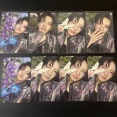 &TEAM Back to Life トレカ YUMA