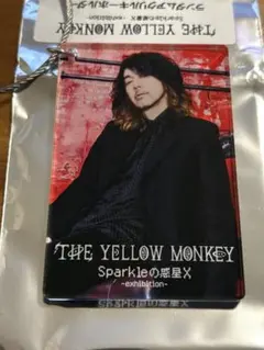 THE YELLOW MONKEY アクリルキーホルダー　エマ 菊地英昭