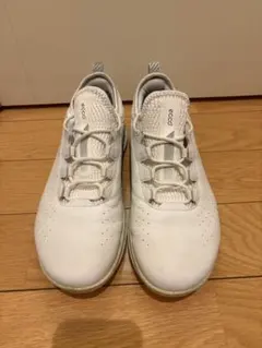 2026年最新】ecco ゴルフシューズ 42の人気アイテム - メルカリ