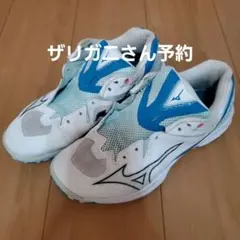MIZUNOバドミントンシューズ ウェーブクロー 3　26cm