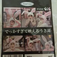うさ耳 でっかすぎて映えるうさ耳