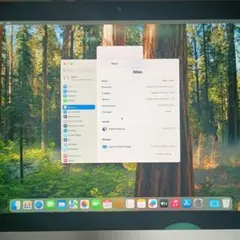 iMac 2019 21.5 4K i7 16GB SSD500GB+HDD1T