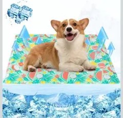 Item thumbnail for item ada44a8a-010a-443e-be9c-d465bc2ec700