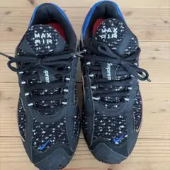 Supreme Nike Air Max Plus ブラック/ブルー