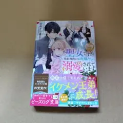 処刑された聖女ですが、皇女に転生してお兄様たちに溺愛されています