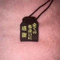 틴 자담 어뮬렛