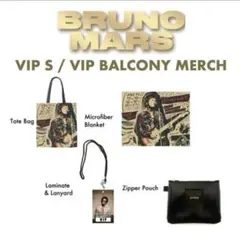 ブルーノマーズ ミュージシャン