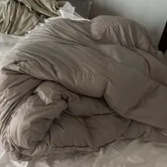 ベージュ ポリエステル シングル掛け布団