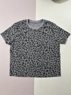 Dazy レオパード柄 半袖Tシャツ リブ素材