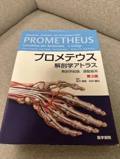 プロメテウス解剖学アトラス 解剖学総論/運動器系第3版