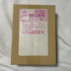 ポケモンカードゲーム　MEGA スタートデッキ100 2点セット　ポケセン産