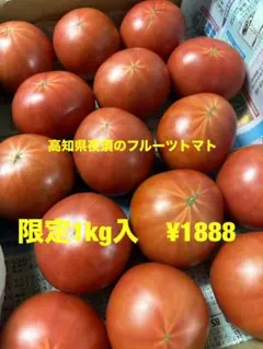 ココにゃん様専用 高知県夜須のフルーツトマト1kg入り カリフローレ3パック