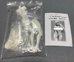 Item thumbnail for item 66e1ee63-4825-4080-a31a-d9fd2a3b8273