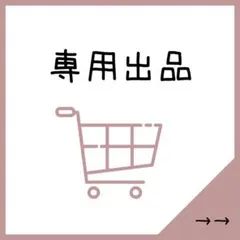専用出品　のぶやん様
