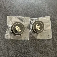 FRUITS ZIPPER ファンクラブ年会費特典 ピンバッジ　2個セット