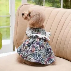 LAURA ASHLEY 花柄犬服 Sサイズのサムネイル
