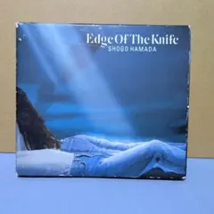 2026年最新】浜田省吾 boxの人気アイテム - メルカリ